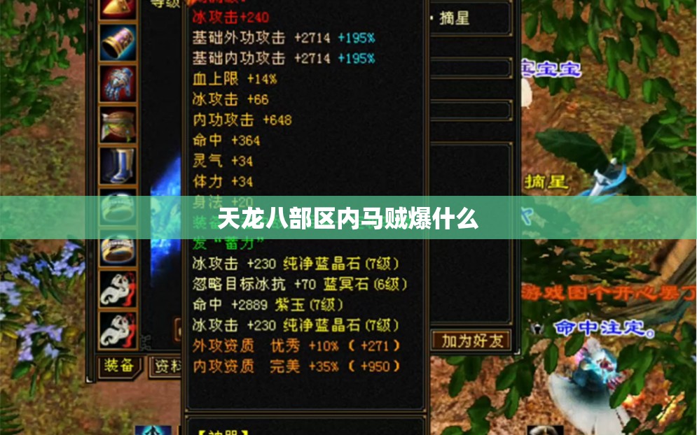 天龙八部区内马贼爆什么