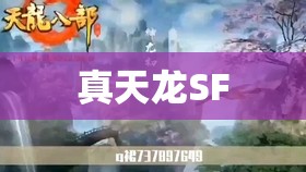 真天龙SF