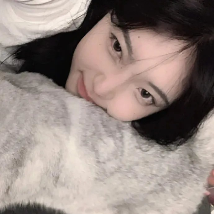 九霄龙吟传